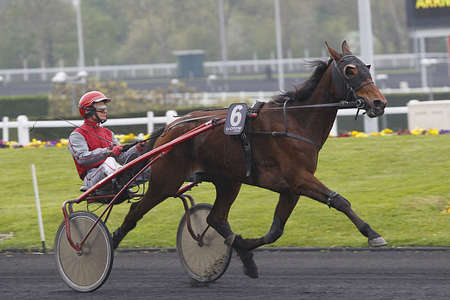 Actualités Hippiques